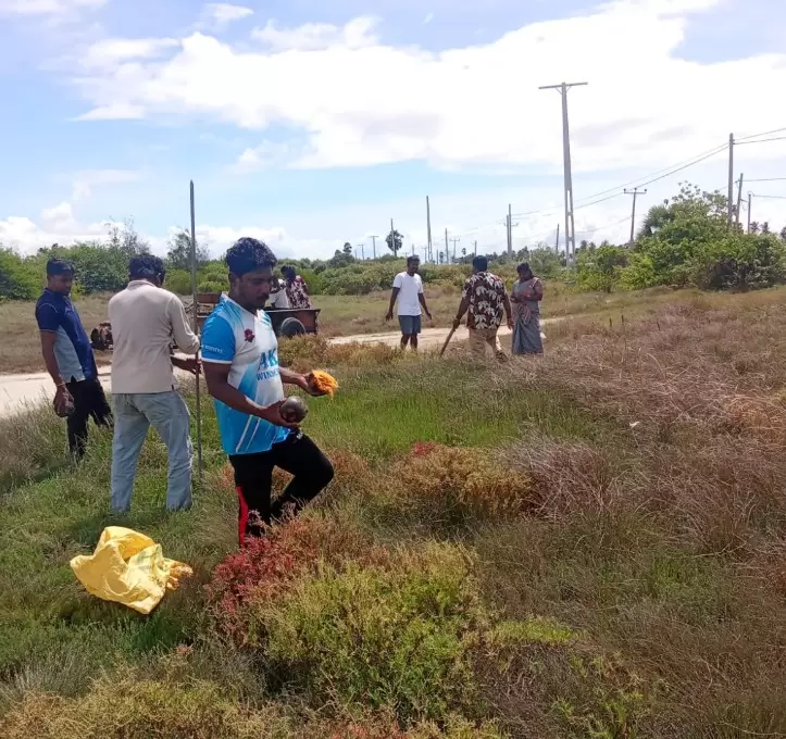 வேலனை பிரதேசத்தில் பனை விதைகள் நாட்டி வைப்பு